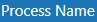 process name.png