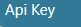 Api Key.png
